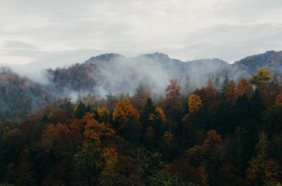 В Приморье ликвидировали первые крупные природные пожары в 2023 году — новости экологии на ECOportal