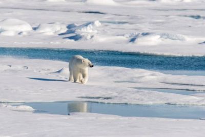 Петербургские ученые разгадали тайну исчезающего озера на архипелаге Северная Земля — новости экологии на ECOportal